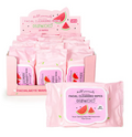 Kevin & Coco wipes 25pc
