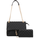 Fashion 2pc handbag