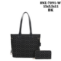Fashion 2pc tote